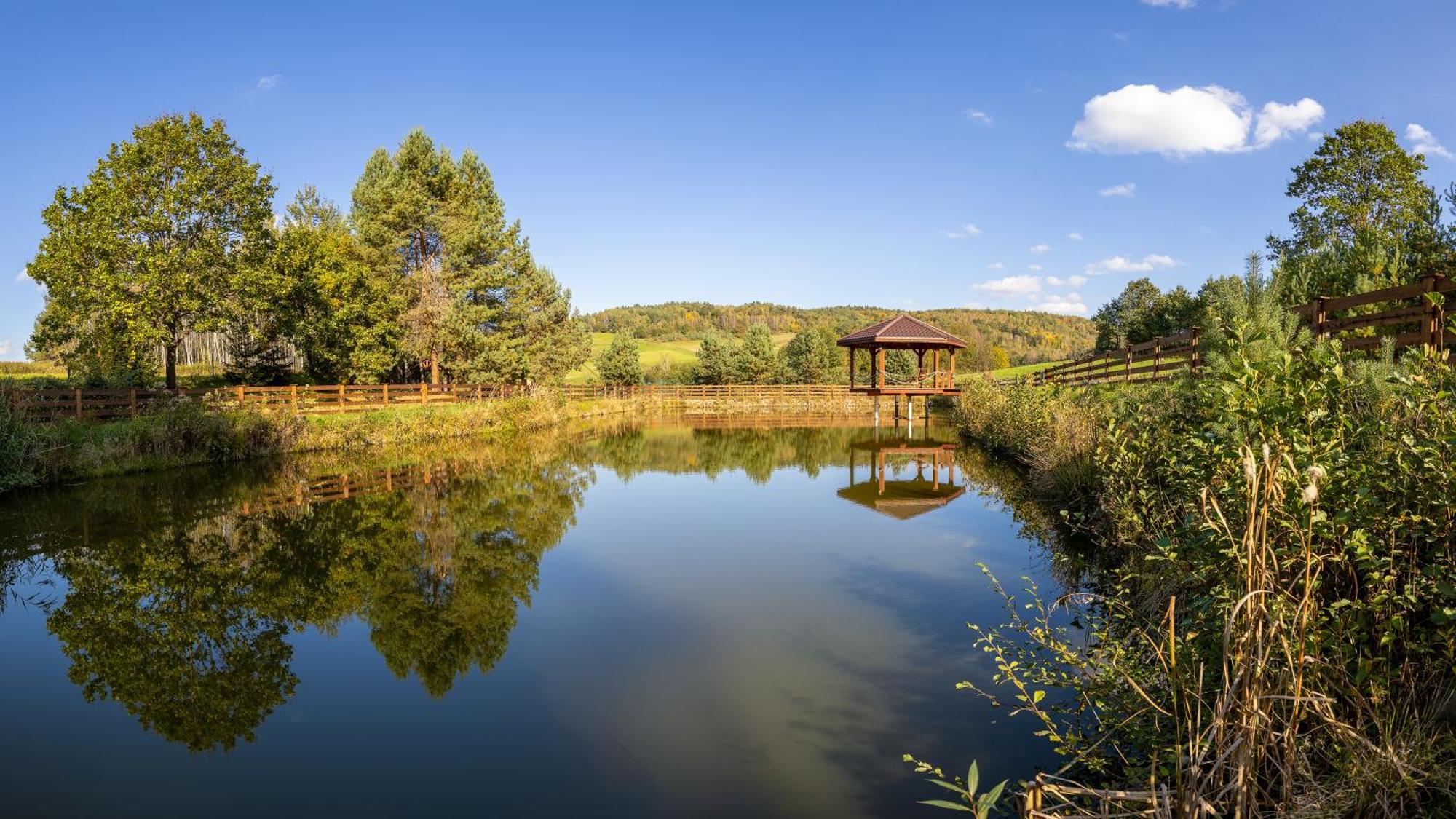 Glamping Pod Gwiazdami Pietrusza Wola Ξενοδοχείο Εξωτερικό φωτογραφία