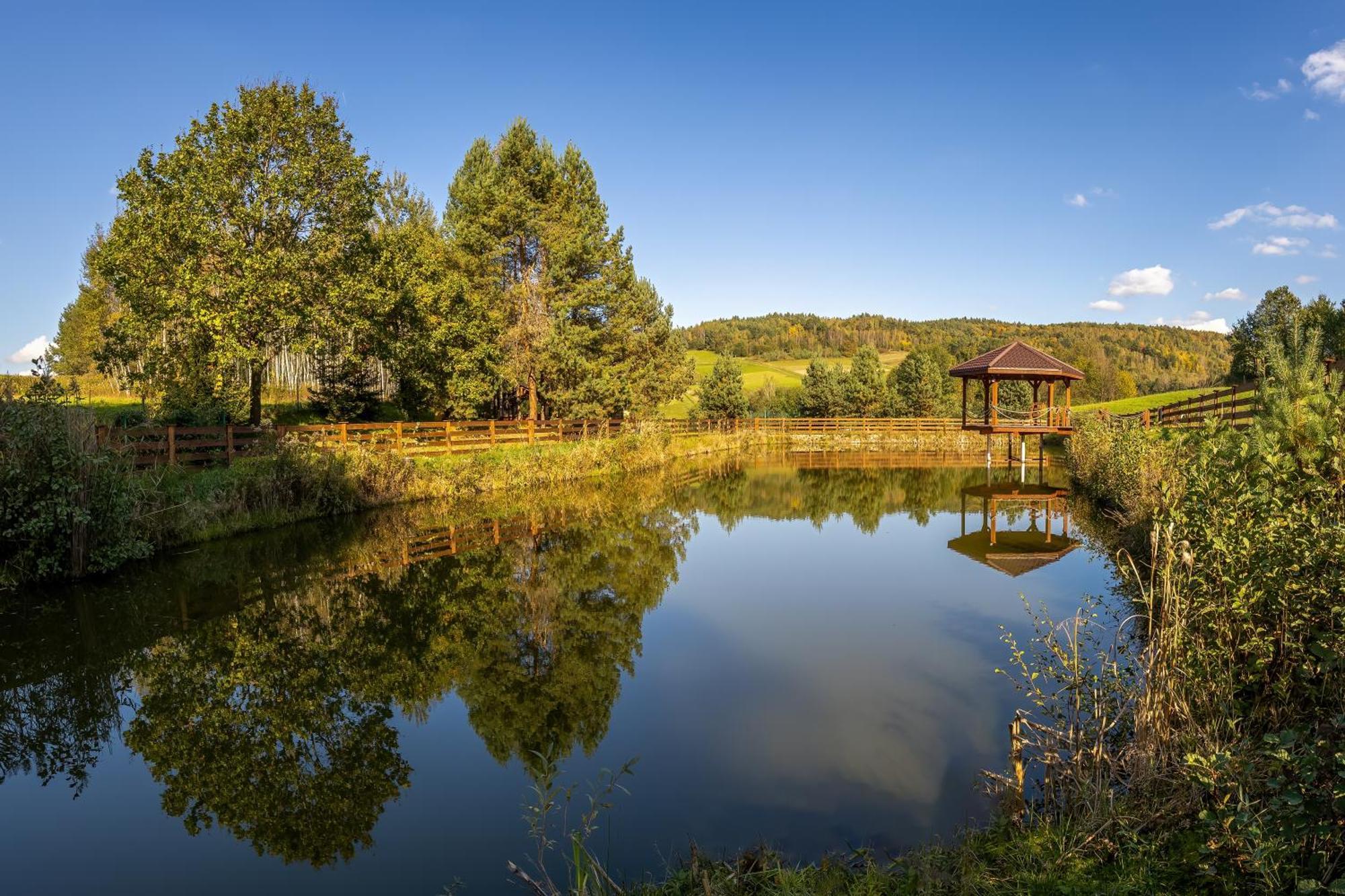 Glamping Pod Gwiazdami Pietrusza Wola Ξενοδοχείο Εξωτερικό φωτογραφία