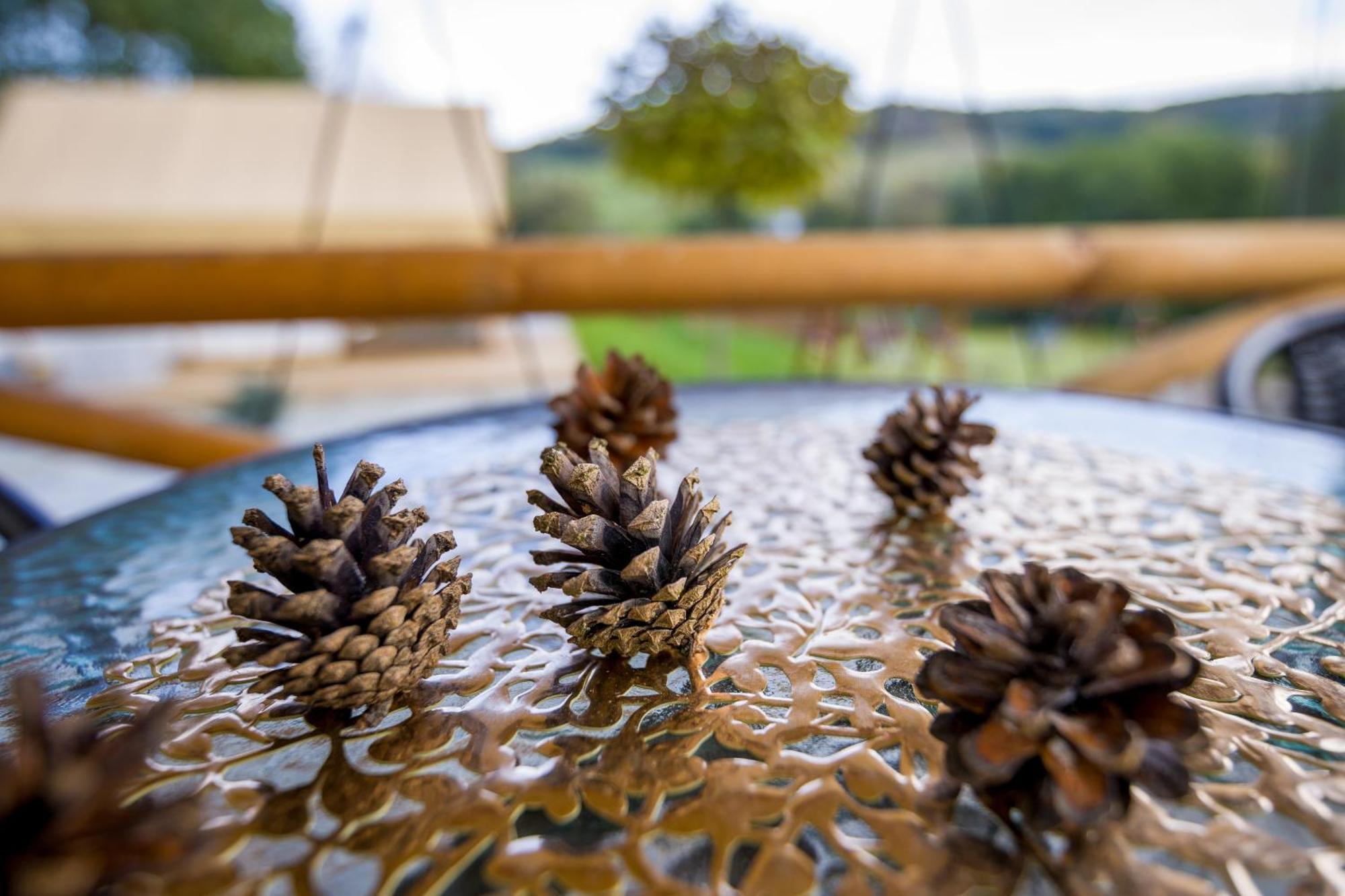 Glamping Pod Gwiazdami Pietrusza Wola Ξενοδοχείο Εξωτερικό φωτογραφία