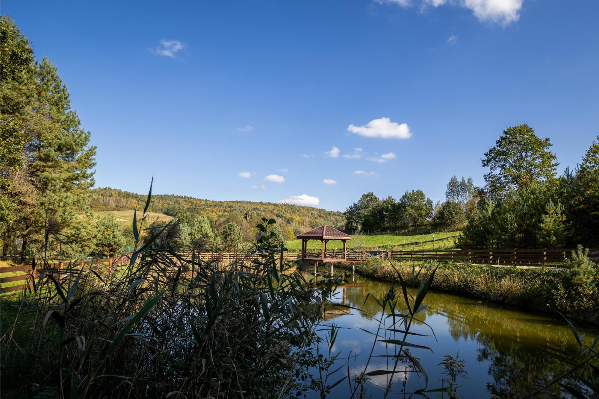 Glamping Pod Gwiazdami Pietrusza Wola Ξενοδοχείο Εξωτερικό φωτογραφία